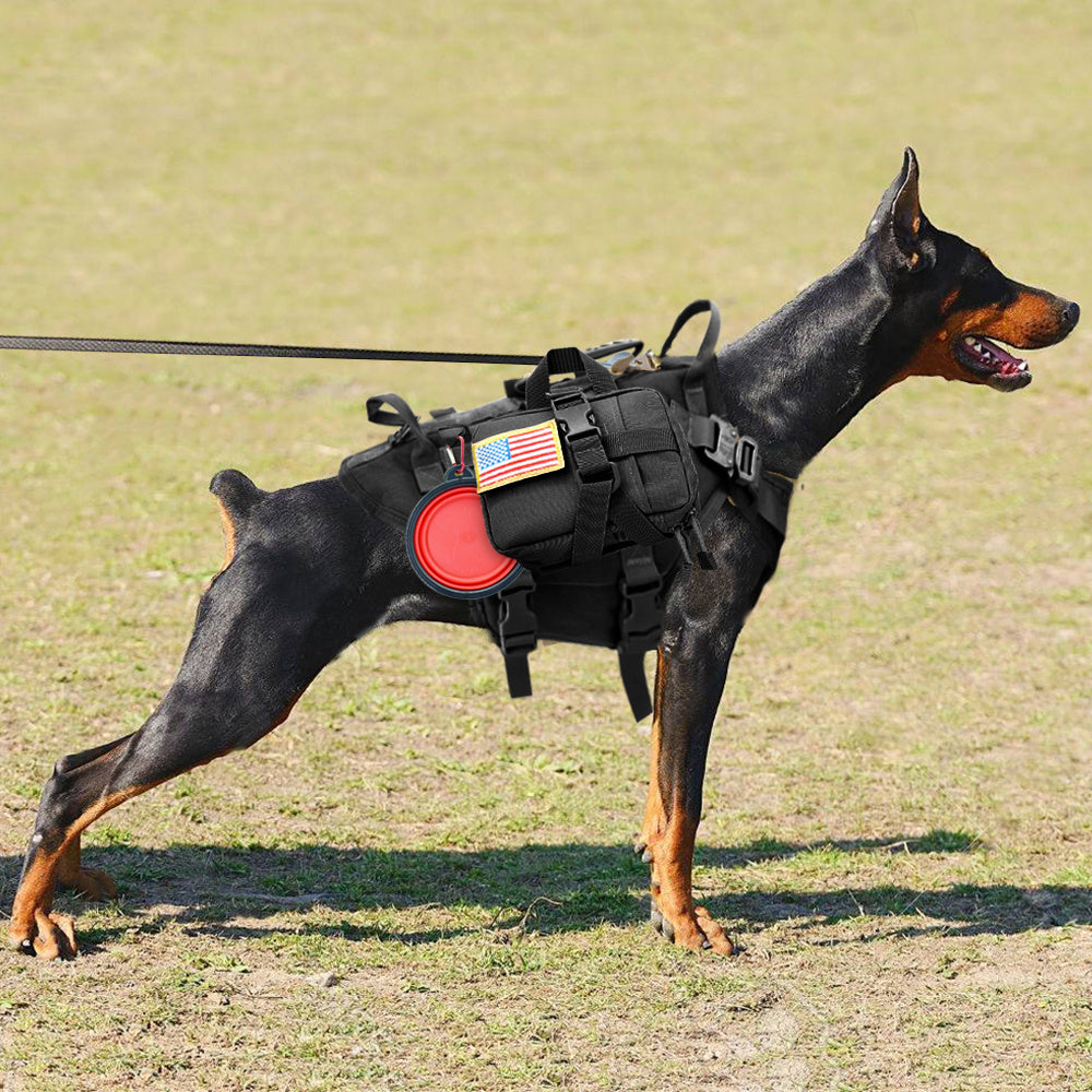 High Strength Tactical Dog Harness - Stylish and Durable Design