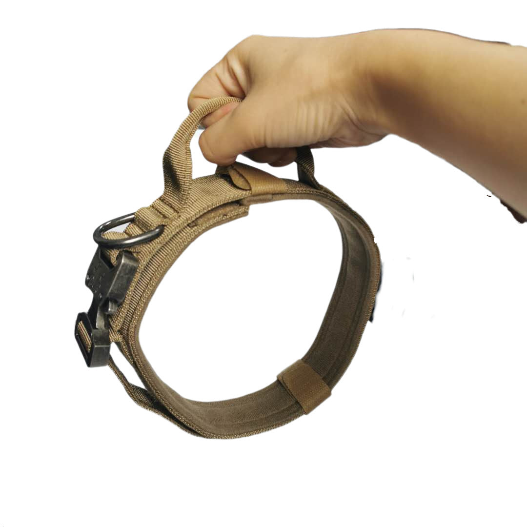 Tactical Dog Training Collar for Pups with K9 Aspirations