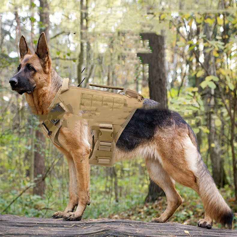 Tactical Dog Harness — Secure Fit and Everyday Control
