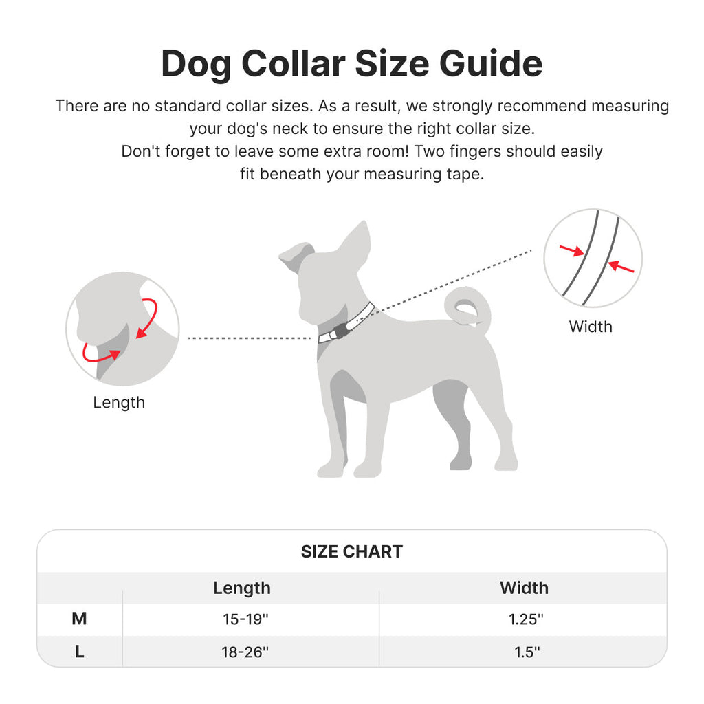 PET MARVEL High Performance Tactical Dog Collar with Handle - 1.25 In Wide