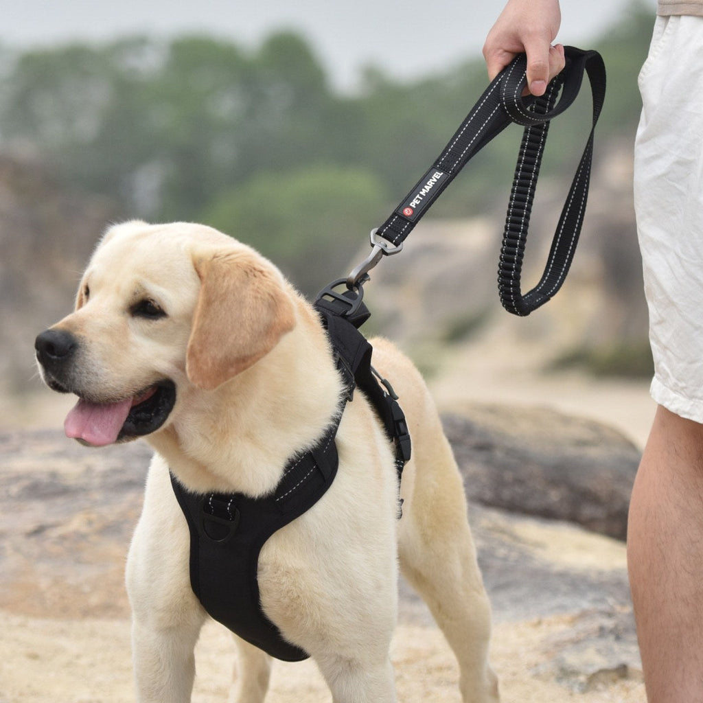 PETMARVEL 4-6 FT Shock Absorbing Tactical Dog Leash with Dual Handles for Training and Control
