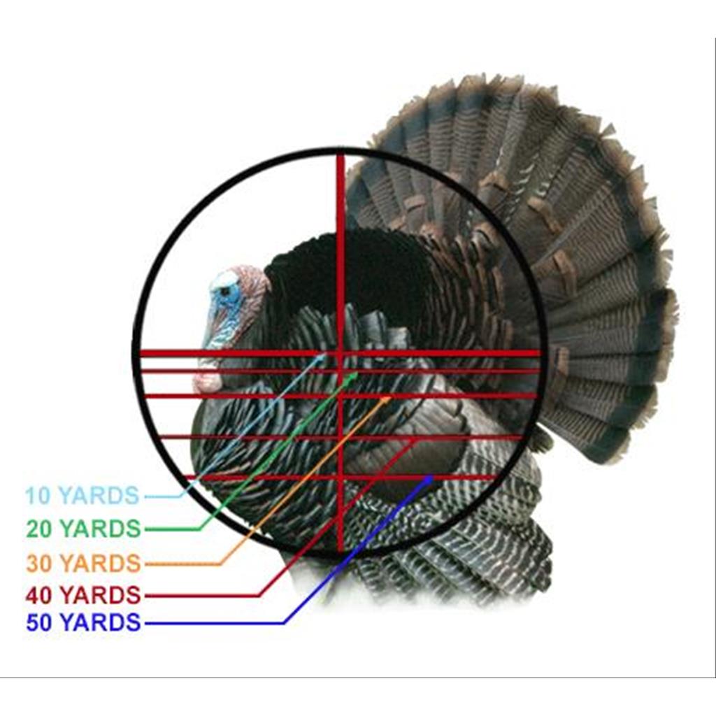 4x32 1" Crossbow Scope, Pro 5-Step RGB Reticle, QD Rings