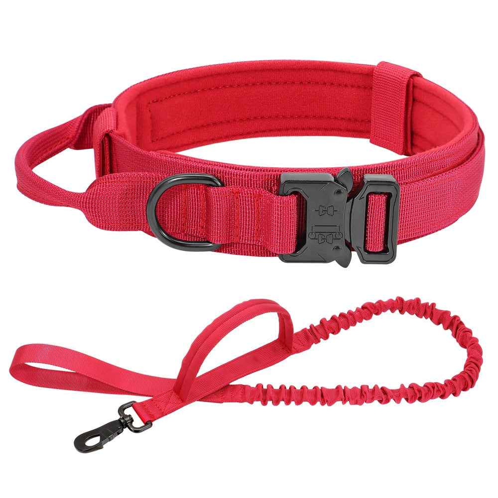 Durable Dog Collar &amp; Leash Set — Adjustable, Comfortable, Everyday Use