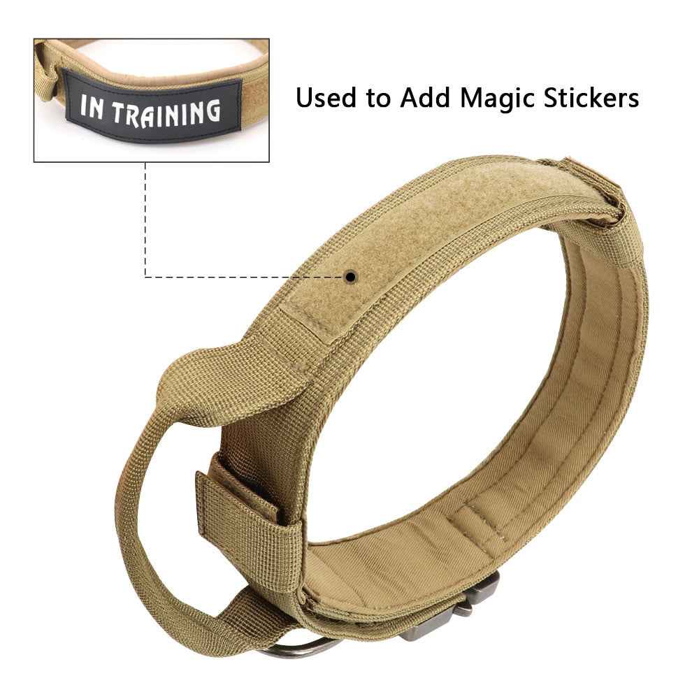 Durable Dog Collar &amp; Leash Set — Adjustable, Comfortable, Everyday Use