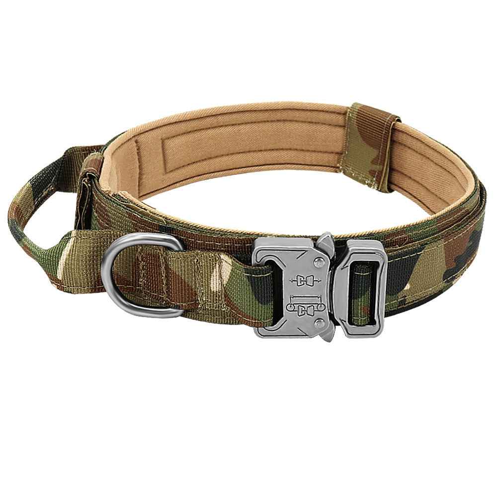 Durable Dog Collar &amp; Leash Set — Adjustable, Comfortable, Everyday Use